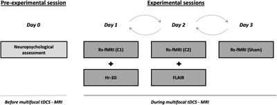 Multifocal Transcranial Direct Current Stimulation Modulates Resting-State Functional Connectivity in Older Adults Depending on the Induced Current Density